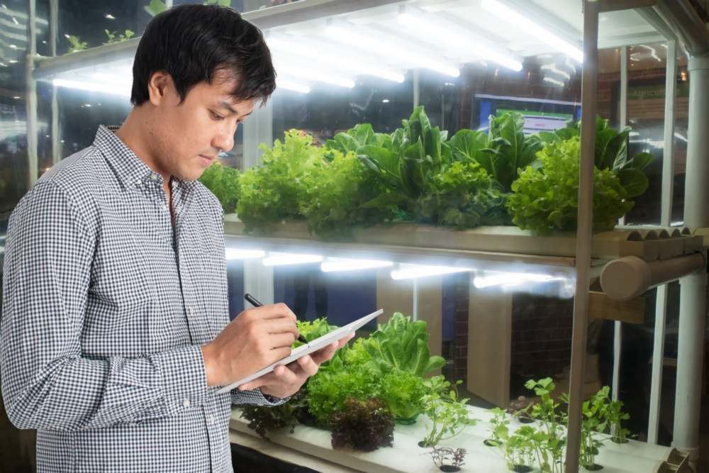 Odoo - Sample 3 for three columns