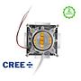 CREE Naked COB 120W